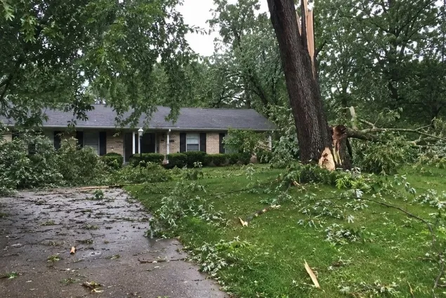 Storm Damage Cleanup Before